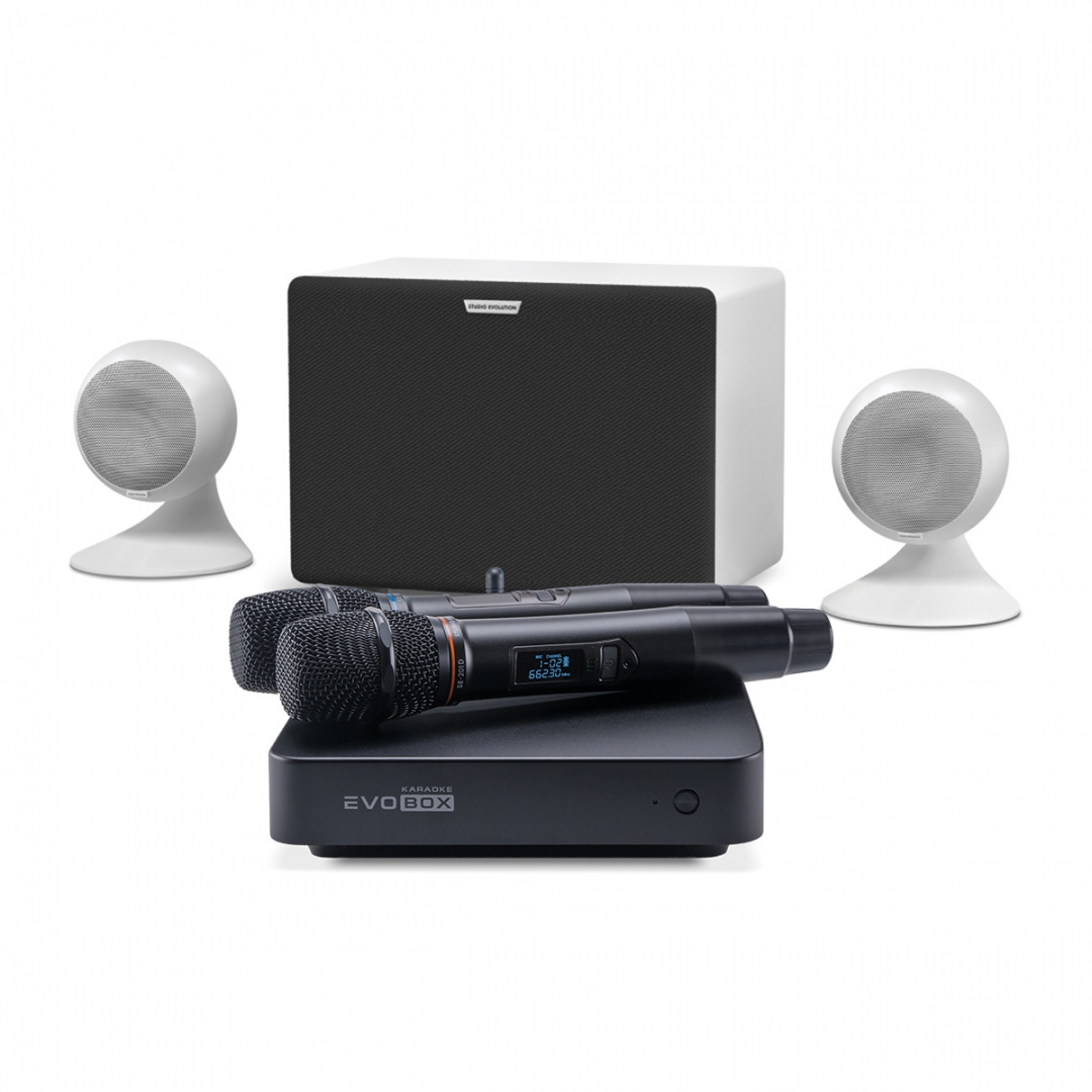 караоке-комплект EVOBOX Classic + EvoSound Sphere 2.1 в Котельниках
