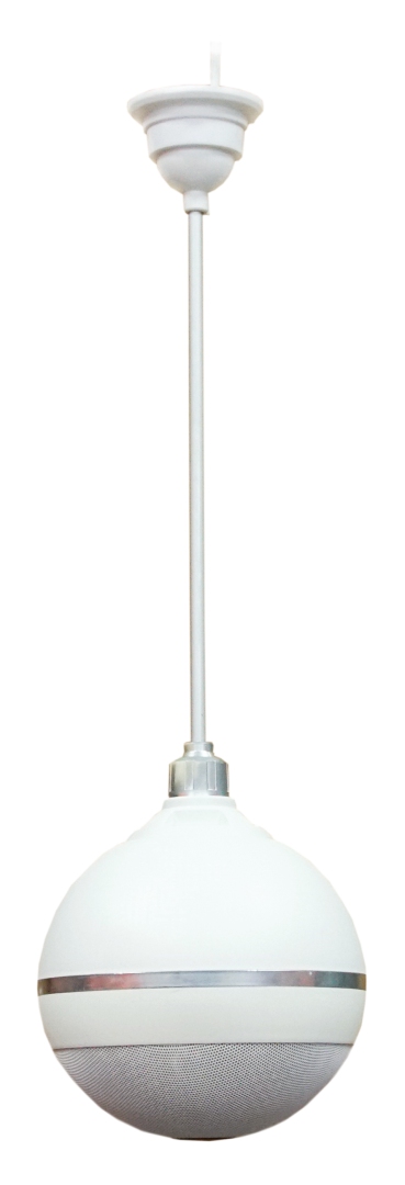 SVS Audiotechnik BWS-603 Громкоговоритель подвесной потолочный в Котельниках