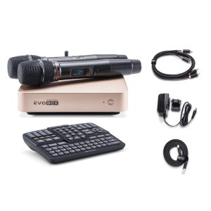 EVOBOX Classic караоке-система для дома в Котельниках