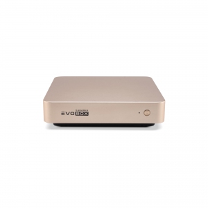 EVOBOX с микрофонами в Котельниках